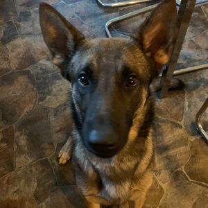 Meet your Posher, Loba